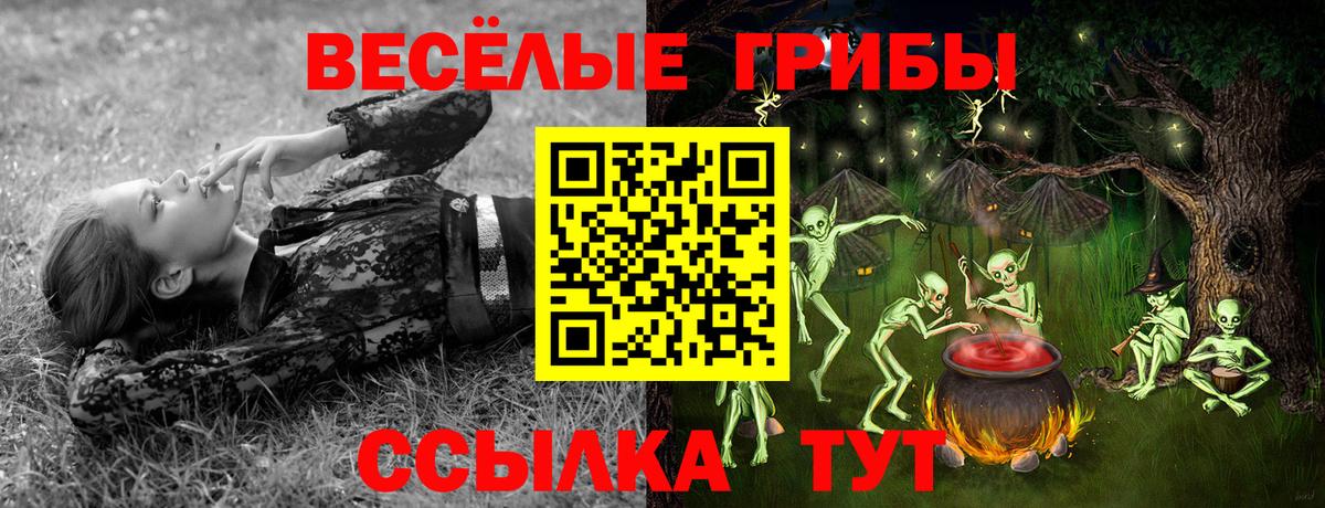 Новоалександровск  Галлюциногенные грибы Psilocybine cubensis  Вход с VPN 